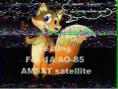 AO-85 Prank SSTV image.jpg